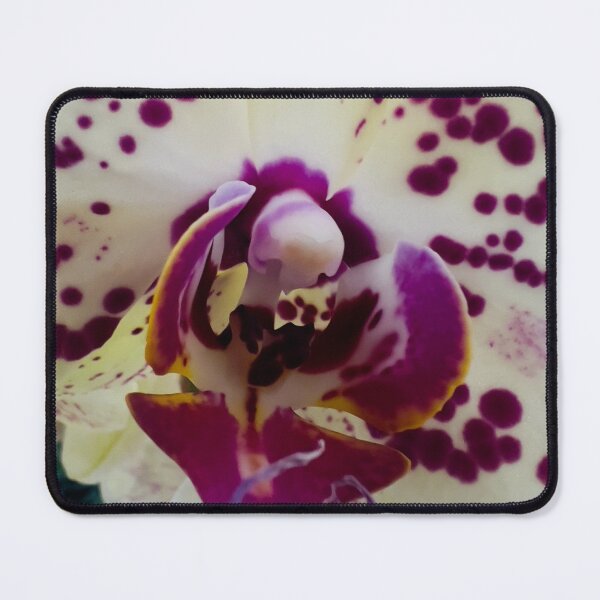 Item preview, Vibrant Spots designed and sold by Betsy Phillips.