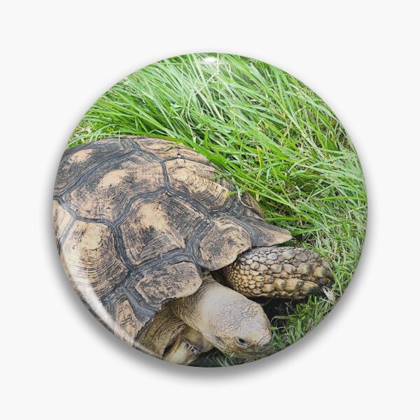 Item preview, Tortoise designed and sold by KibrDesigns.