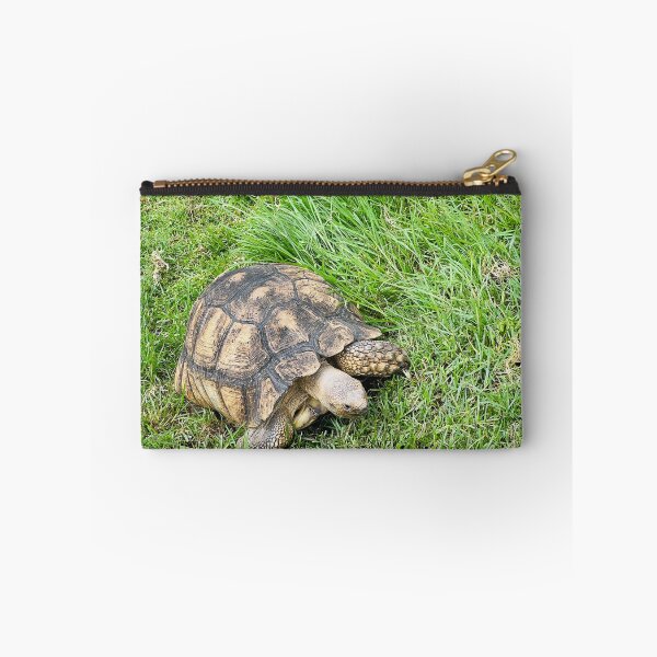 Item preview, Tortoise designed and sold by KibrDesigns.