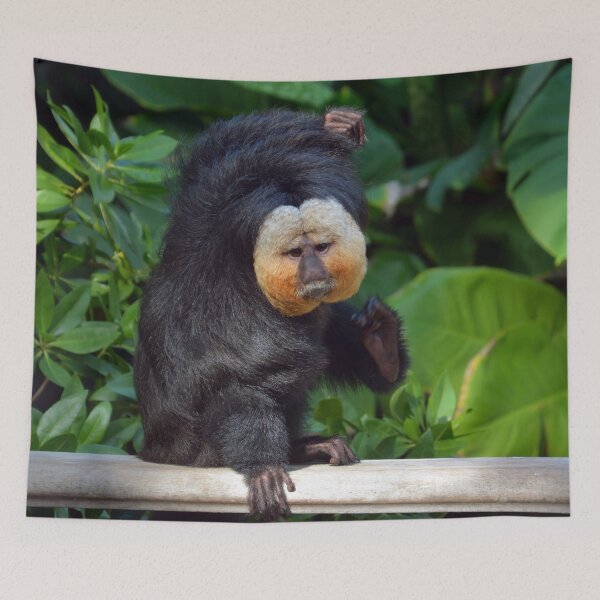 Aperçu de l'œuvre Singe Saki créée et vendue par Savannah Gibbs.
