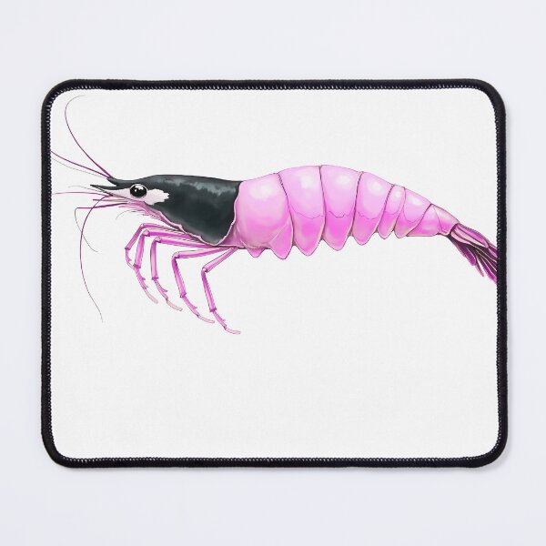 Item preview, Cherry shrimp (pink) designed and sold by Brizvid.