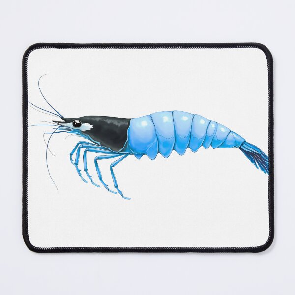 Item preview, Cherry shrimp (blue) designed and sold by Brizvid.