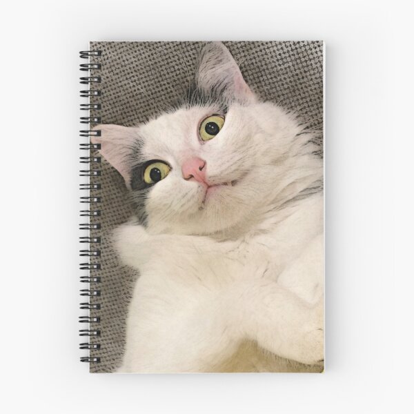 Item preview, Cats: Spooked designed and sold by Stills by Greet Meulepas.