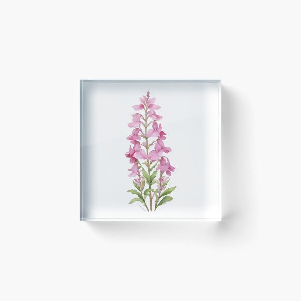 Item preview, Pink Lobelia designed and sold by HOMETOWN86.