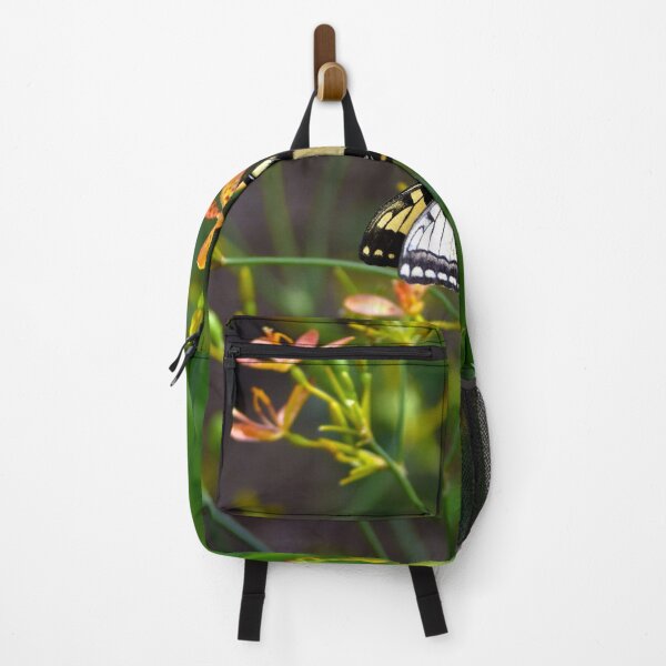 Item preview, Swallowtail Butterfly On A Blackberry Lily designed and sold by MercerImages.