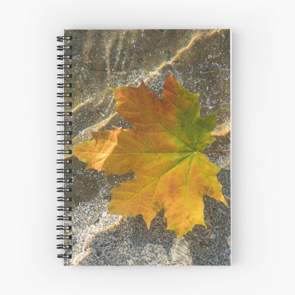 Item preview, Varicolored Maple Leaf Afloat designed and sold by Georgia Mizuleva.