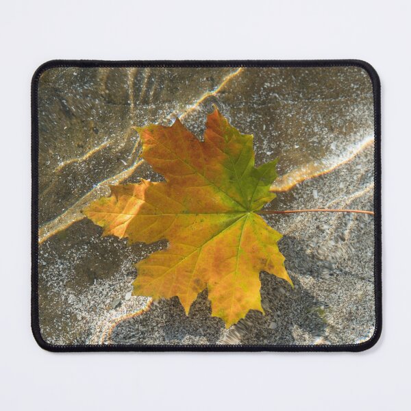 Item preview, Varicolored Maple Leaf Afloat designed and sold by Georgia Mizuleva.