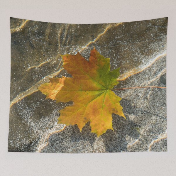 Item preview, Varicolored Maple Leaf Afloat designed and sold by Georgia Mizuleva.