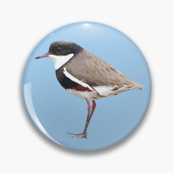 Item preview, Red-kneed Dotterel Color Design  designed and sold by designsasstultd.
