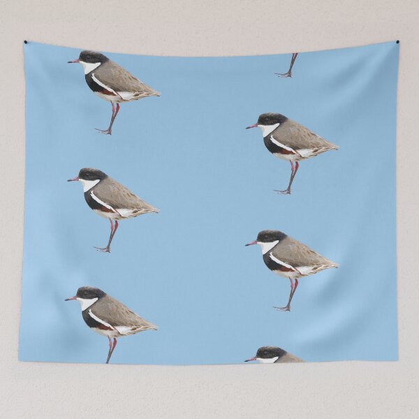 Item preview, Red-kneed Dotterel Color Design  designed and sold by designsasstultd.