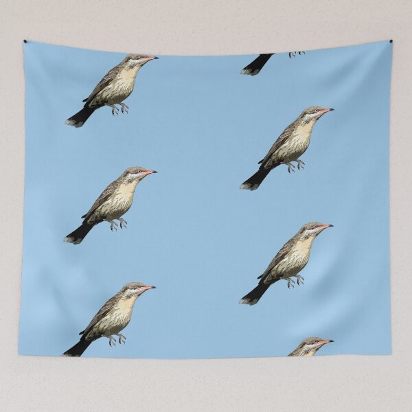Item preview, Spiny-cheeked Honeyeater Color Design  designed and sold by designsasstultd.