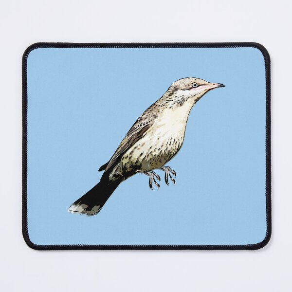 Item preview, Spiny-cheeked Honeyeater Black Alternate Design  designed and sold by designsasstultd.