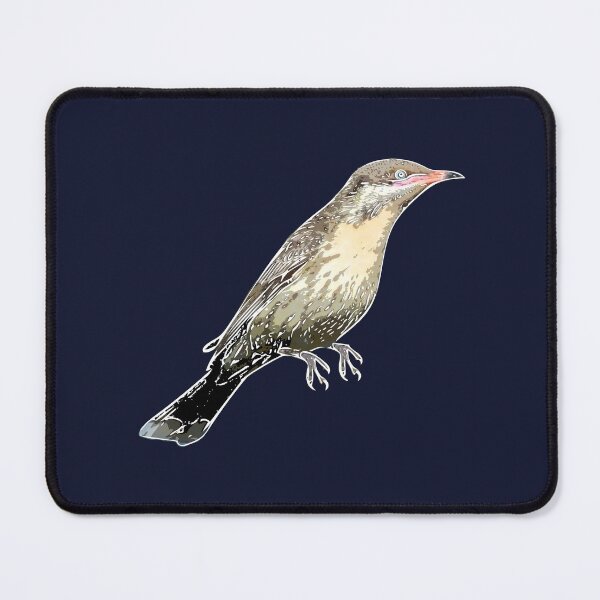 Item preview, Spiny-cheeked Honeyeater White Alternate Design  designed and sold by designsasstultd.
