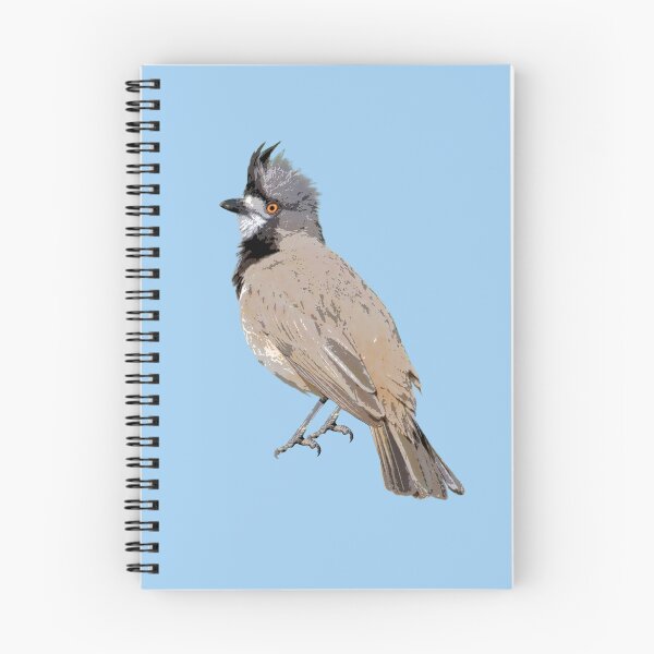 Item preview, Crested Bellbird Color Design  designed and sold by designsasstultd.