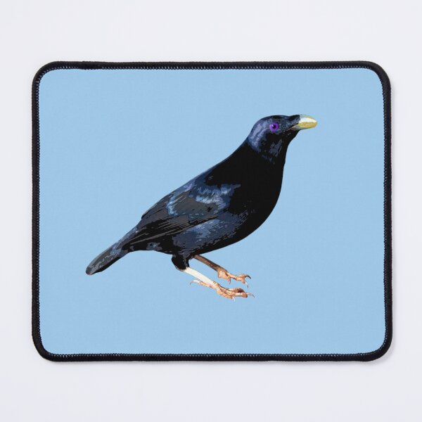 Item preview, Satin Bowerbird Color Design  designed and sold by designsasstultd.