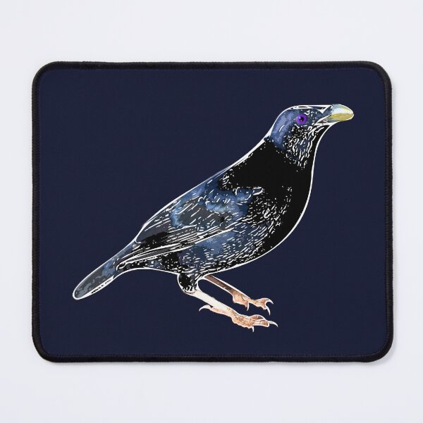 Item preview, Satin Bowerbird White Alternate Design  designed and sold by designsasstultd.