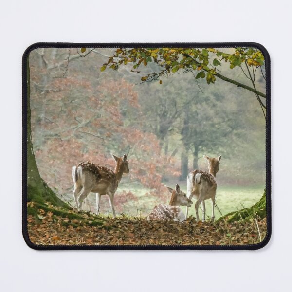 Item preview, Fallow Deer in Autumn designed and sold by mikebov.
