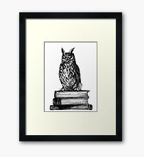 Library owl Framed Print