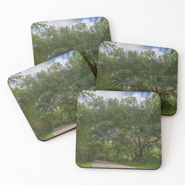 Item preview, Asphalt path leads you along lush green foliage at the New Tampa Nature Park designed and sold by EyezWatchin.