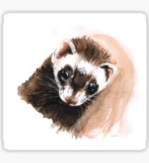 Ferret portrait Sticker