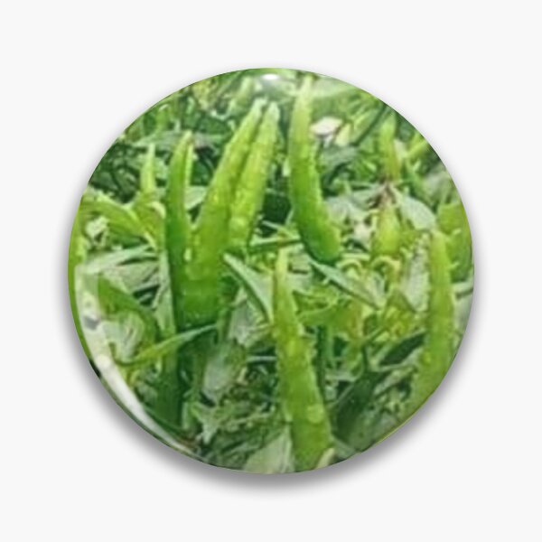 Item preview, Green Chilli  designed and sold by Saiamrita123.