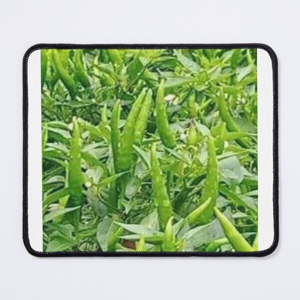 Item preview, Green Chilli  designed and sold by Saiamrita123.