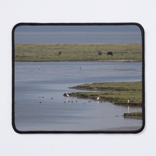 Item preview, Tipperne, Denmark designed and sold by Calidris Fotografie Steffi & Ben Köppler.