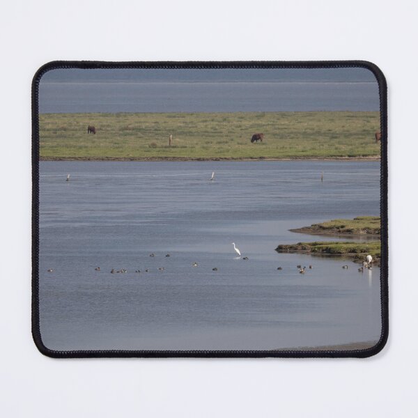 Item preview, Tipperne, Denmark designed and sold by Calidris Fotografie Steffi & Ben Köppler.