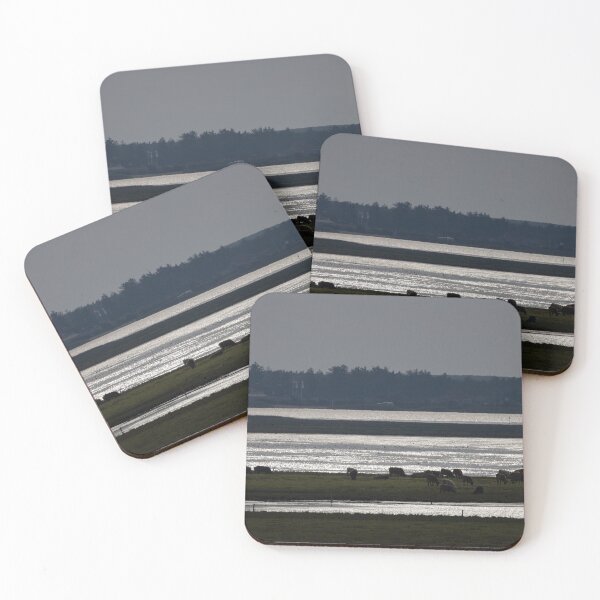 Item preview, Tipperne, Denmark designed and sold by Calidris Fotografie Steffi & Ben Köppler.