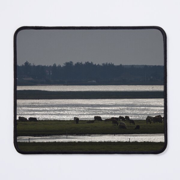 Item preview, Tipperne, Denmark designed and sold by Calidris Fotografie Steffi & Ben Köppler.