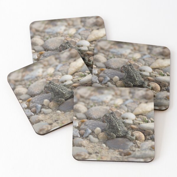 Item preview, Natterjack Toad designed and sold by Calidris Fotografie Steffi & Ben Köppler.