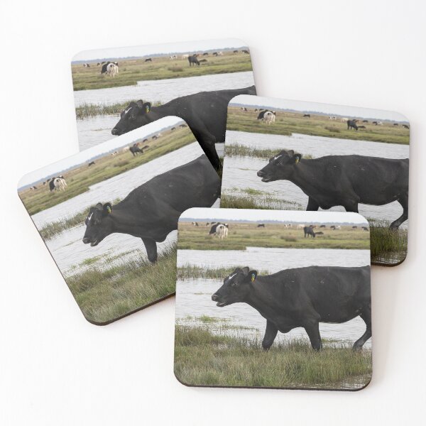 Item preview, Cow designed and sold by Calidris Fotografie Steffi & Ben Köppler.
