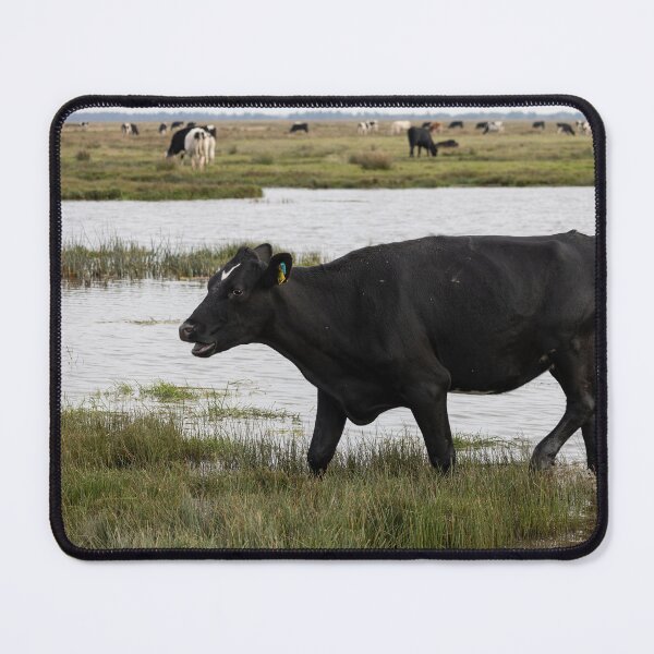Item preview, Cow designed and sold by Calidris Fotografie Steffi & Ben Köppler.