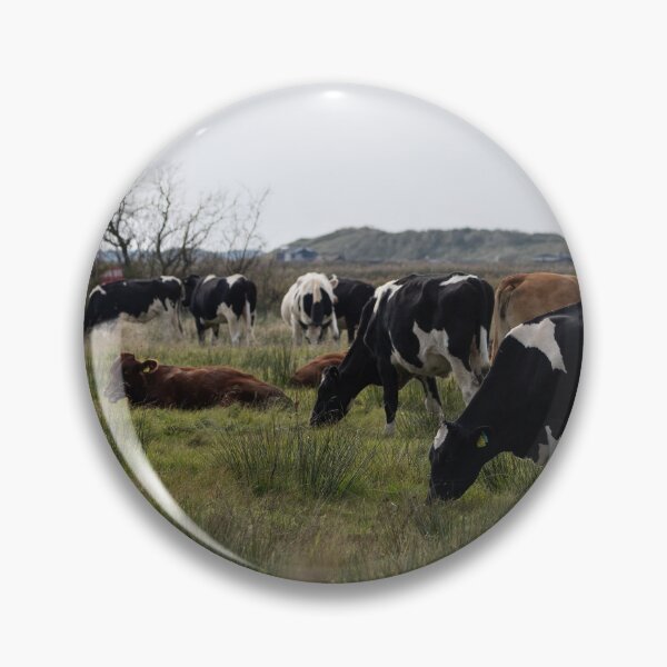 Item preview, Cows designed and sold by Calidris Fotografie Steffi & Ben Köppler.
