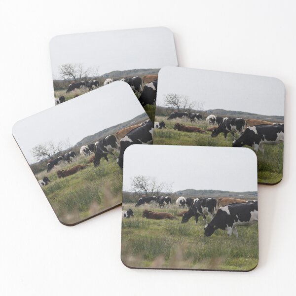 Item preview, Cows designed and sold by Calidris Fotografie Steffi & Ben Köppler.