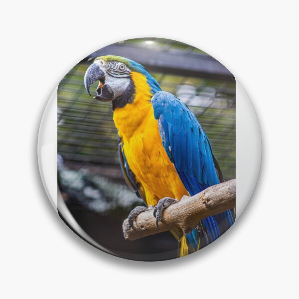 Item preview, Brazilian Parrot designed and sold by pedrovitola2022.