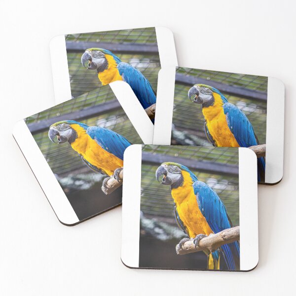 Item preview, Brazilian Parrot designed and sold by pedrovitola2022.