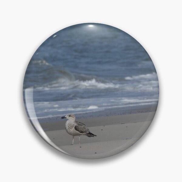 Item preview, Seagull designed and sold by Calidris Fotografie Steffi & Ben Köppler.