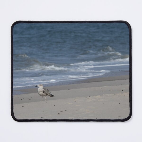 Item preview, Seagull designed and sold by Calidris Fotografie Steffi & Ben Köppler.