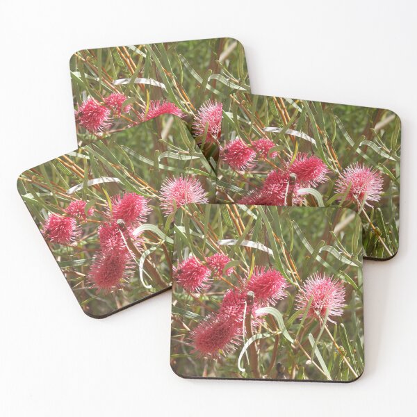 Item preview, Emu Tree or Hakea francisiana designed and sold by Claire L Page Photography.