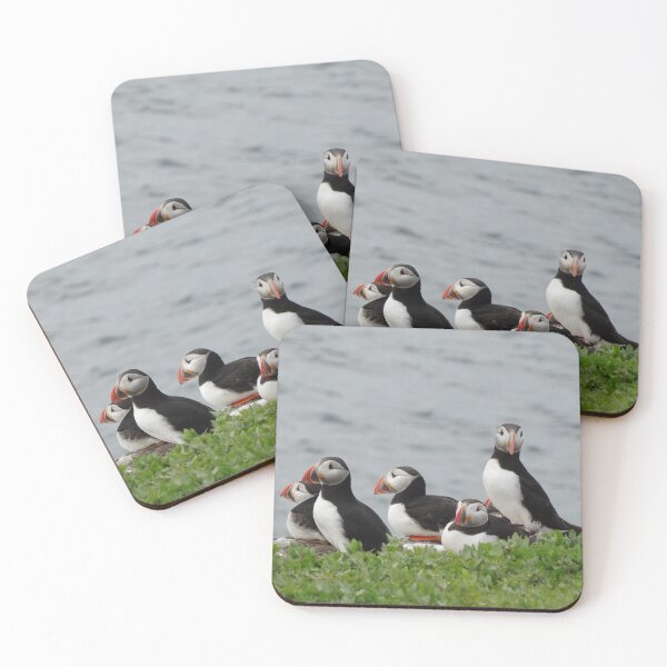 Item preview, A group of Atlantic Puffins at the edge of an island designed and sold by TwistedClassics.