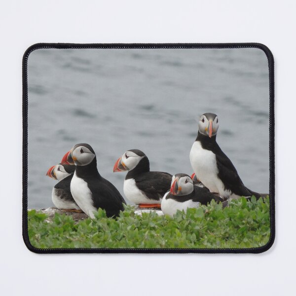 Item preview, A group of Atlantic Puffins at the edge of an island designed and sold by TwistedClassics.