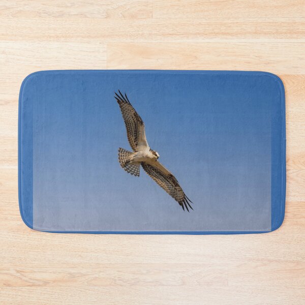 Item preview, Osprey On The Hunt designed and sold by Debra Martz.