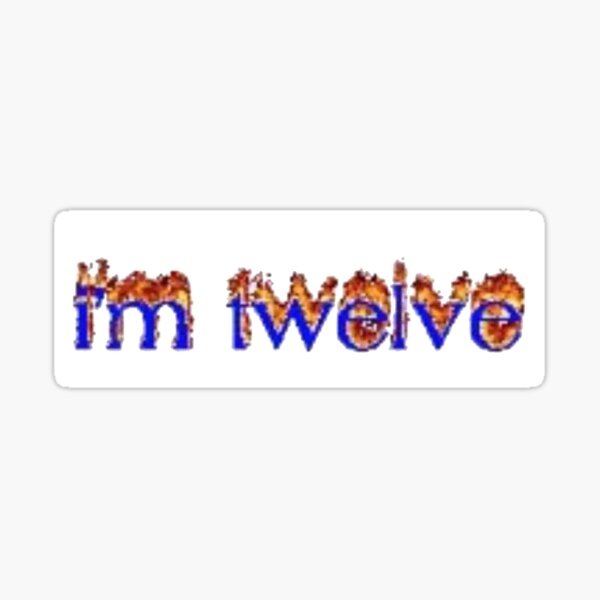 me me 12 boy Sticker
