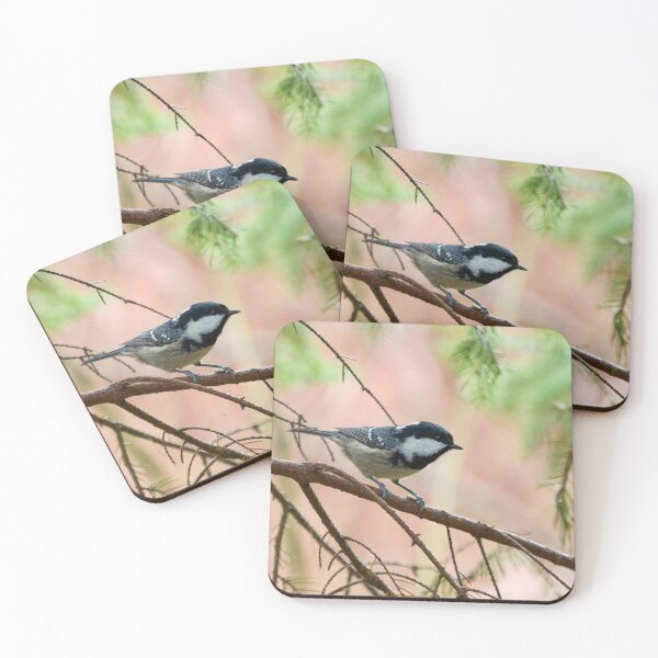 Item preview, Coal Tit on a spruce twig designed and sold by Jouko Lehto Photography.