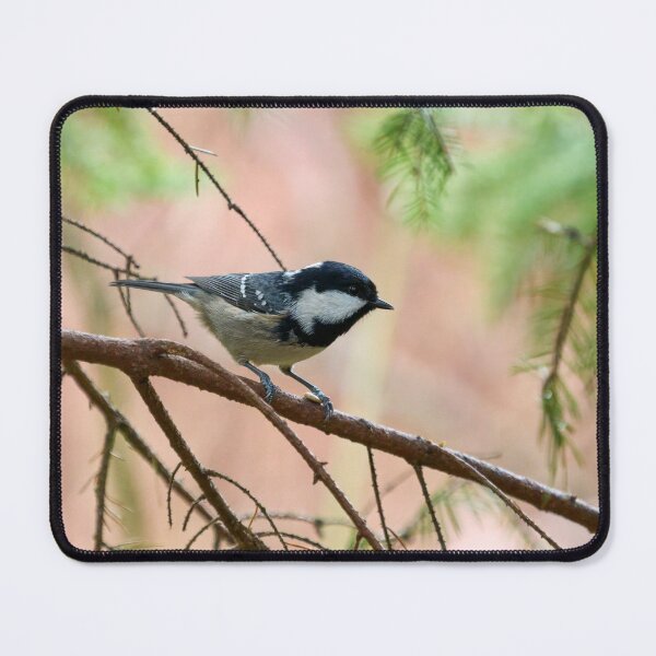 Item preview, Coal Tit on a spruce twig designed and sold by Jouko Lehto Photography.