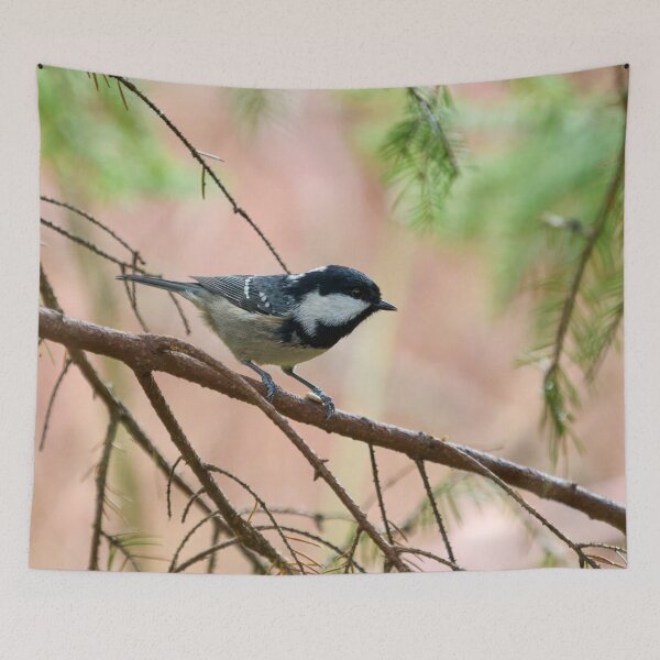 Item preview, Coal Tit on a spruce twig designed and sold by Jouko Lehto Photography.