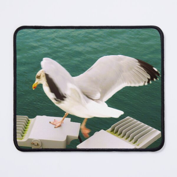 Item preview, Jonathan the seagull designed and sold by ART22.