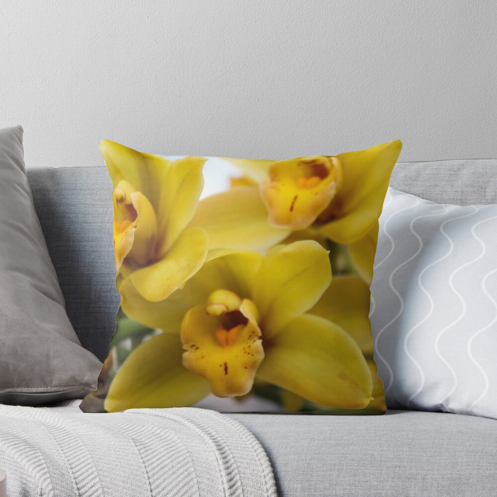 Item preview, Throw Pillow designed and sold by 2Canons.