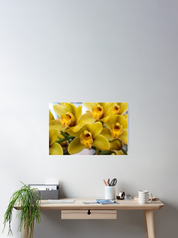 Thumbnail 2 of 3, Poster, Yellow Orchids designed and sold by 2Canons.